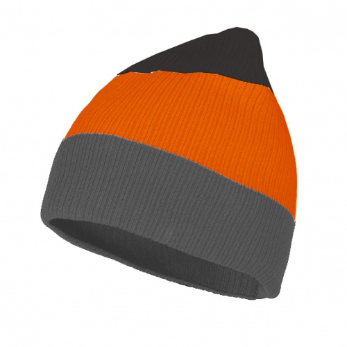 Шапка Dragonfly Beanie (зимняя). Orange 900200-693 в интернет Магазине Аллигатор Красноярск